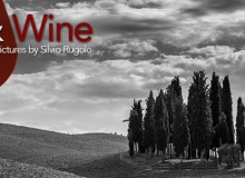 Exhibition – Mostra Light & Wine