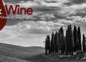 Exhibition – Mostra Light & Wine