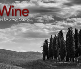 Exhibition – Mostra Light & Wine